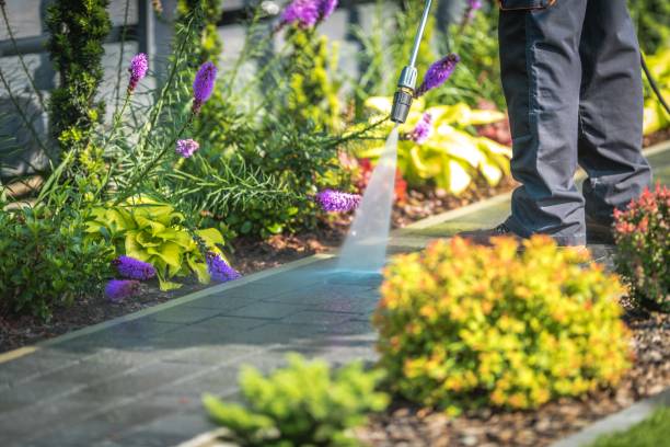 Best Patio and Deck Pressure Washing  in North Pearsall, TX