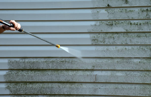 Professional  Pressure Washing Services in North Pearsall, TX