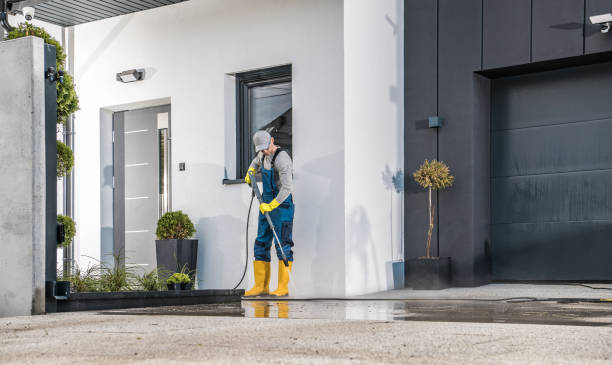 Best Spring Cleaning  in North Pearsall, TX